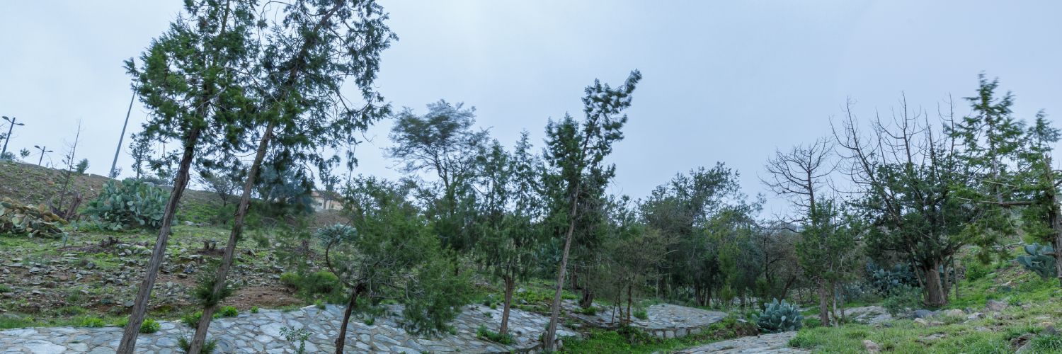 انقر هنا لإدراج صورة من SharePoint.