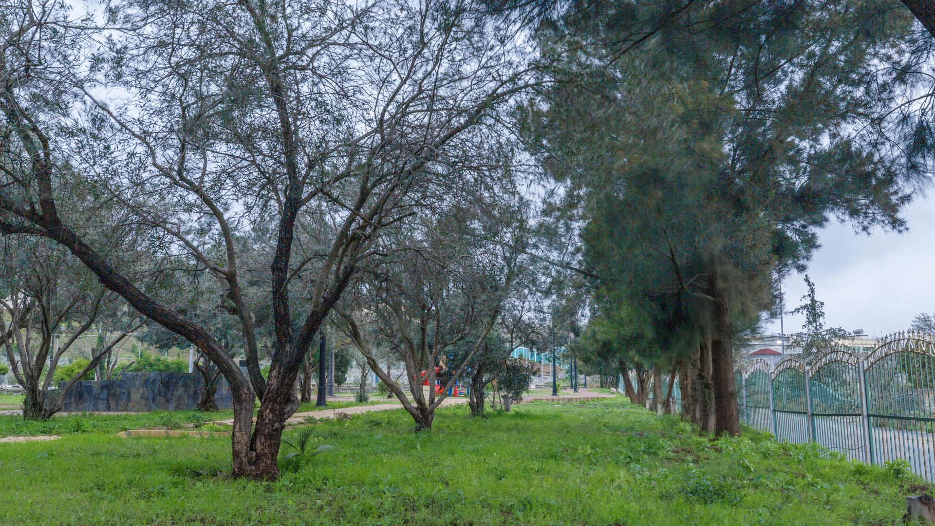 انقر هنا لإدراج صورة من SharePoint.