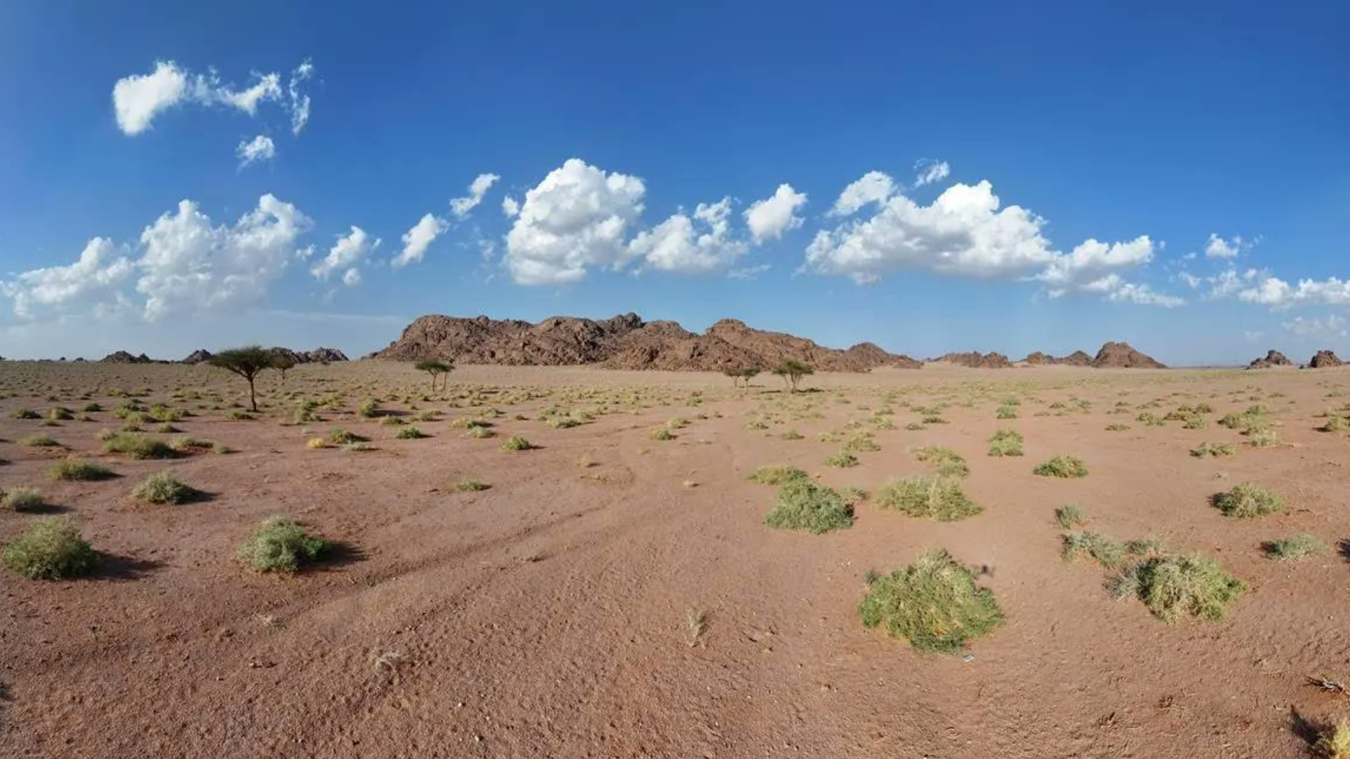 Click here to insert a picture from SharePoint.