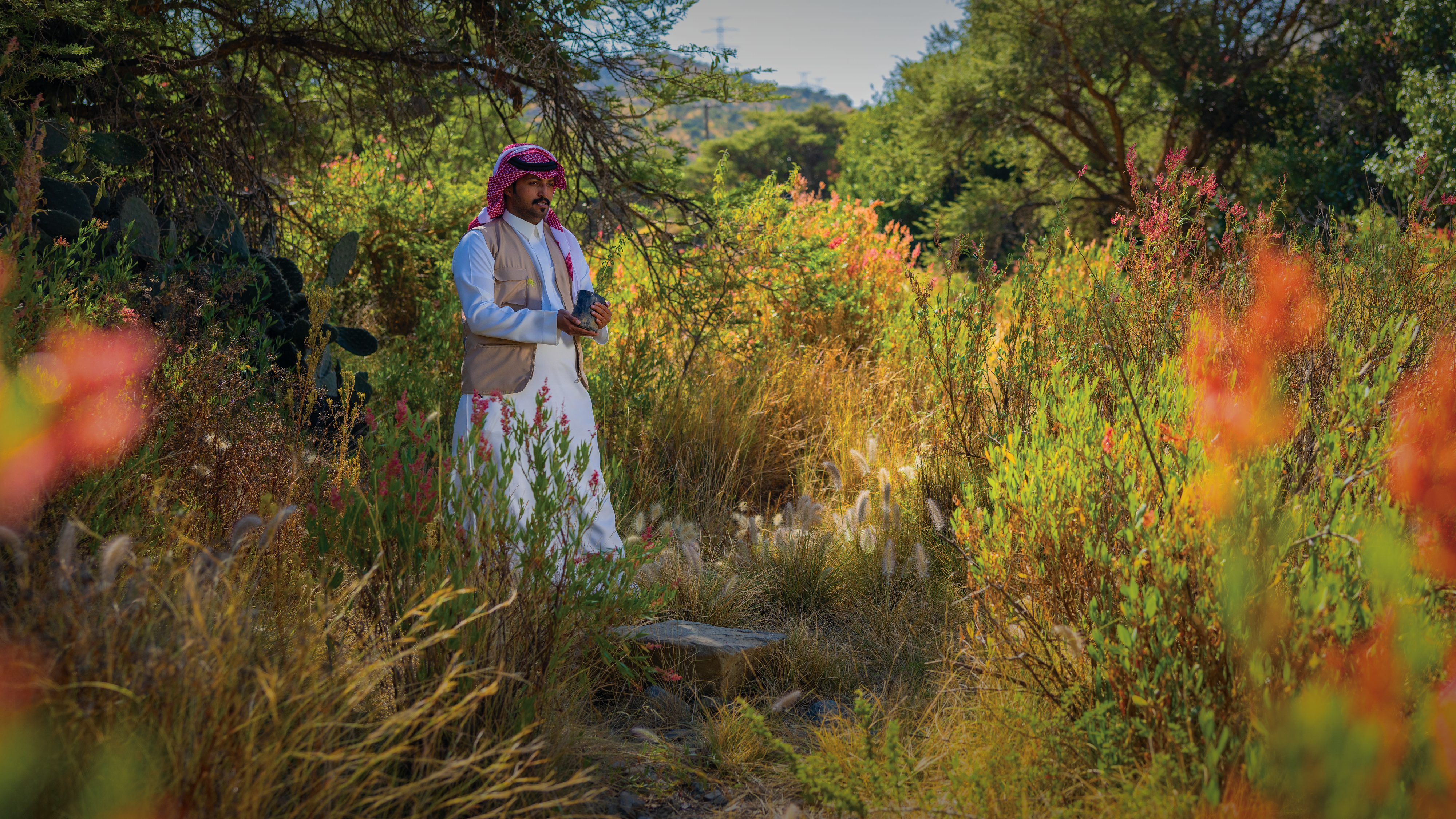 يدٌ تغرس