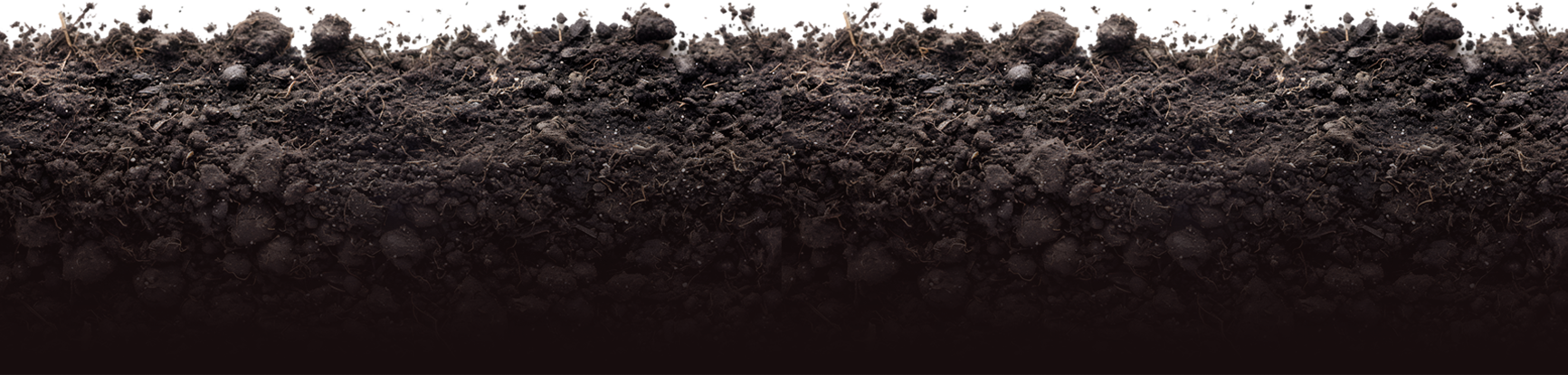 a close-up of a rocky area